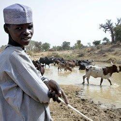 "Selig, die Frieden stiften in Nigeria"