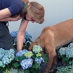 Blumenkontrolle mit Hindernissen