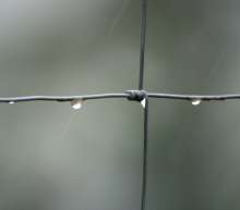 Von Adolph Kolping bis Samuel Koch