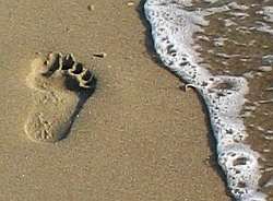 Eltern und ihre Kinder mit lebensbegrenzenden Syndromen