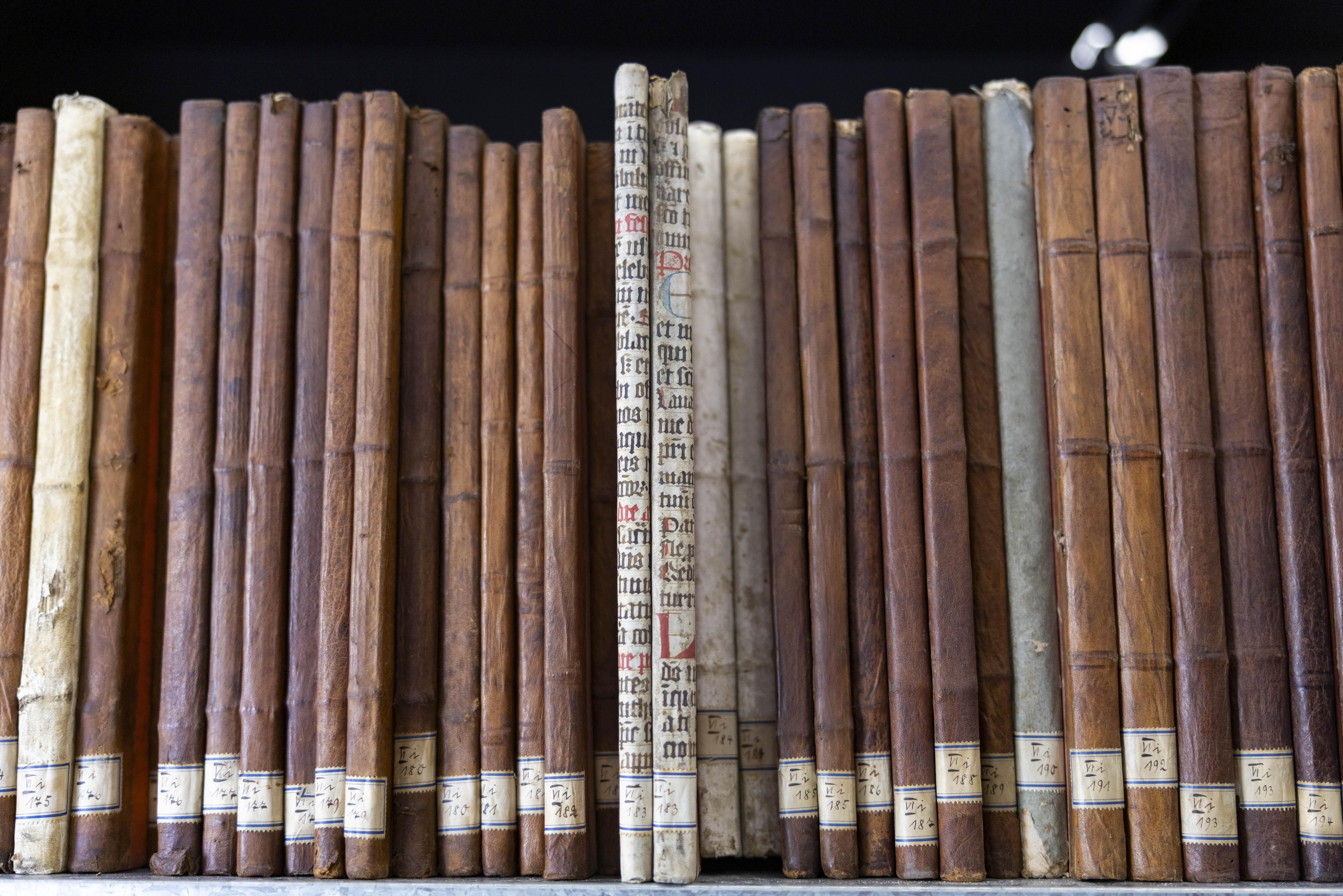 Bücherrücken von alten Büchern