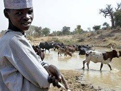 "Selig, die Frieden stiften in Nigeria"