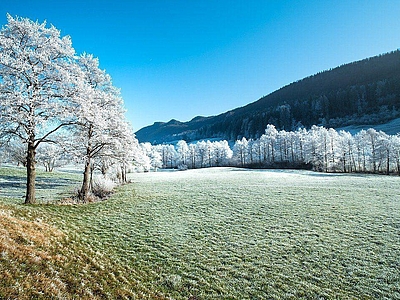 Scheinidylle