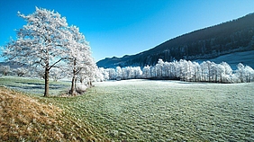 Scheinidylle
