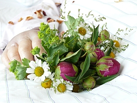 Wir sind nur Gast auf Erden