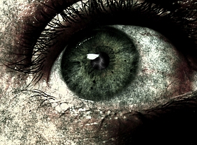 Augen