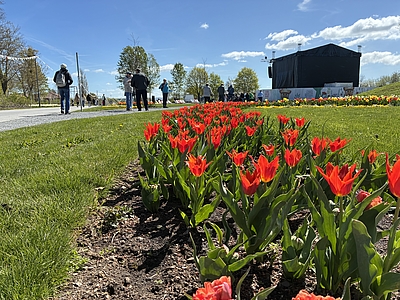 Gottesdienst zwischen Blüten und Himmel