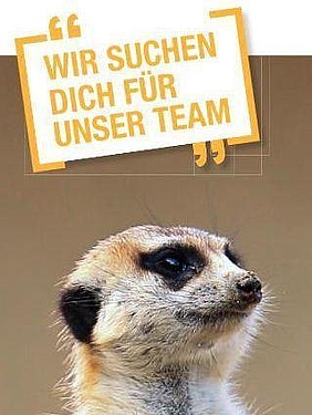 Ein Ohr für Andere haben