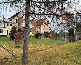 Gartengrundstück mit Grünfläche, Baum und Sträuchern.