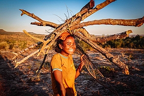 Das mühsame Sammeln von Feuerholz gehört für viele Kinder in Madagaskar zum Alltag. 
