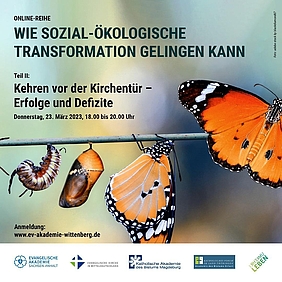 Schmetterlinge beim Entfalten, auf blauem Hintergrund