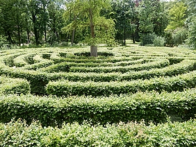 Der goldene Schlüssel im Labyrinth des Vergessens