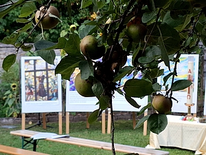 Schoepfungszeit Kerbscherberg4