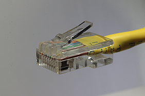 Ein Lan-Stecker