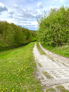 Familien entdecken pure Natur