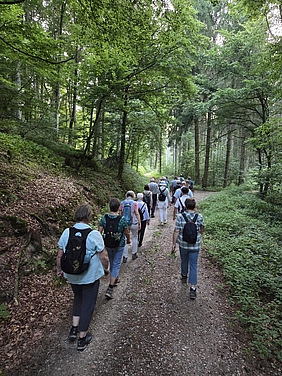 Gruppe von Menschen wandert auf einem Waldweg, umgeben von grünem Laub.