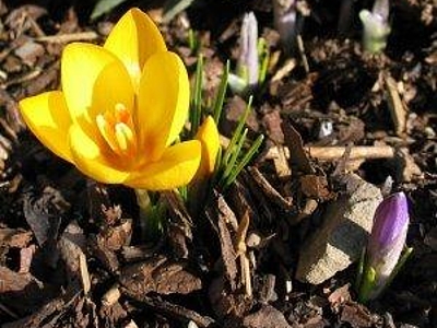 Azubis lösen "Zeit-Geschenk" ein