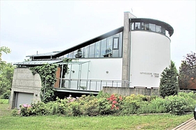 Kirche mit Glasfront hinter grünen Büschen