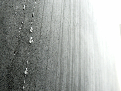 „Leben mit Auschwitz“