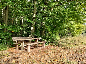 Bank und Tisch am Waldrand