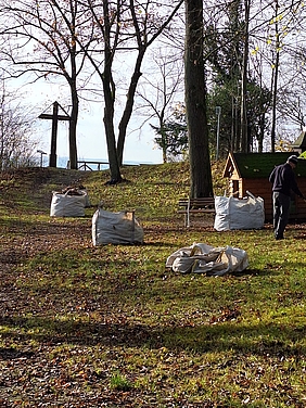 Hülfensberg, mit Säcken voll Laub