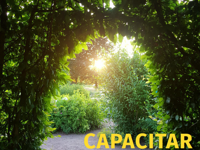 CAPACITAR-Workshop