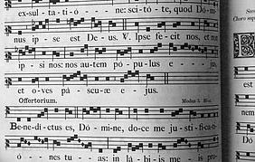 Bach und Sonnengesang am Welttag der Orgel