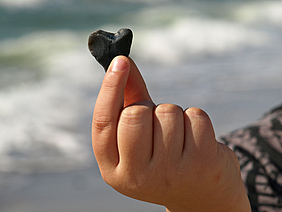 Hand, deren Finger ein kleines Herz aus Stein halten