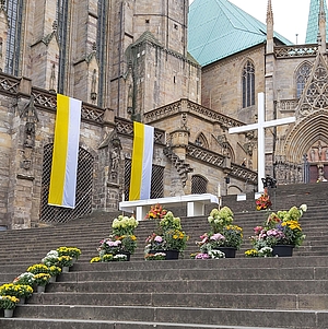 Bw 2022 By Andrea Wilke 20220918 105247