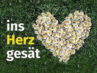 „Ins Herz gesät“