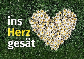 „Ins Herz gesät“