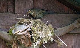 Erlösung? Christlicher Glaube im Wandel