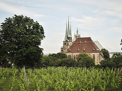 Parforcehörner in der Erfurter Severikirche